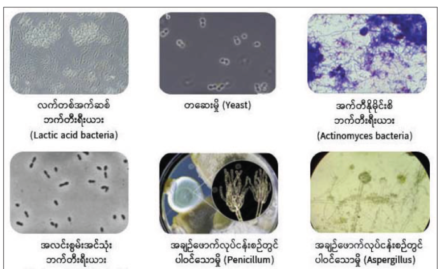 ဆောင်းပါး
